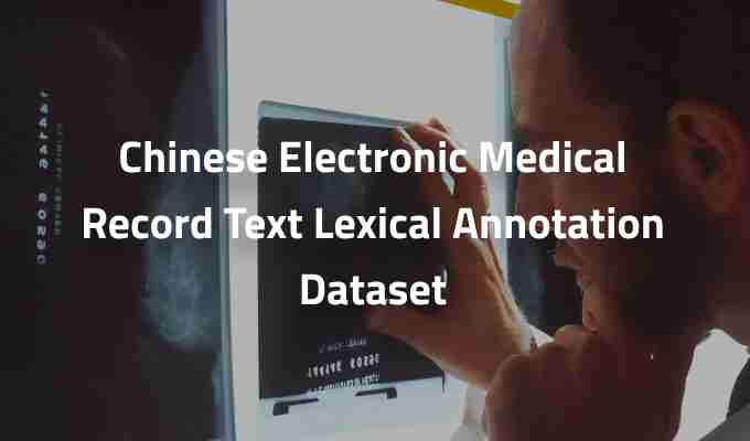 Chinese-Electronic-Medical-Record-Text-Lexical-Annotation-Dataset.jpg