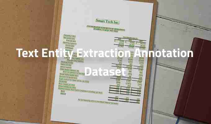 Text-Entity-Extraction-Annotation-Dataset.jpg