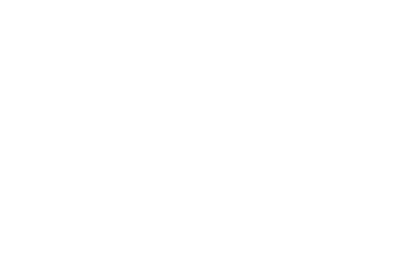 Image-Text Pairs Statistics