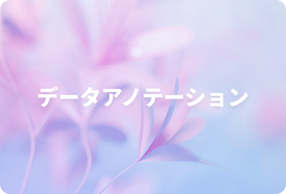 データアノテーション