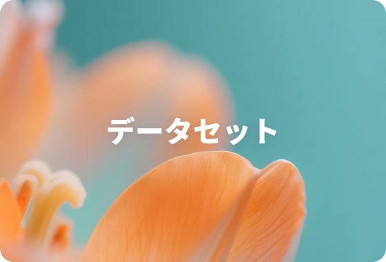 データセット